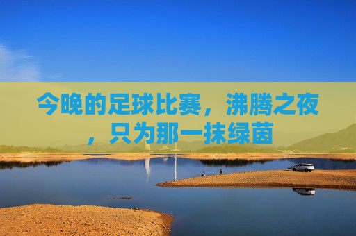 今晚的足球比赛，沸腾之夜，只为那一抹绿茵
