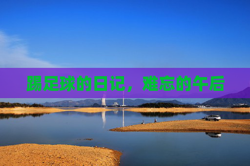 踢足球的日记,难忘的午后