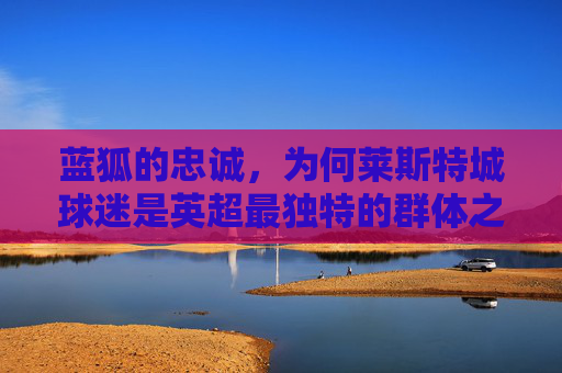蓝狐的忠诚,为何莱斯特城球迷是英超最独特的群体之一