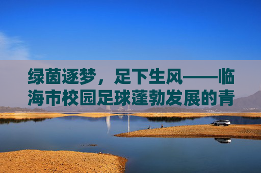绿茵逐梦,足下生风——临海市校园足球蓬勃发展的青春画卷