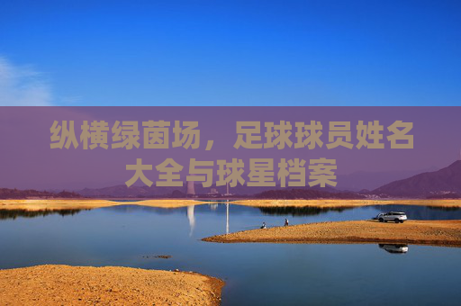 纵横绿茵场,足球球员姓名大全与球星档案