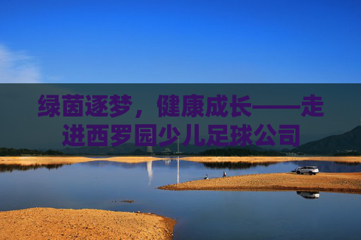 绿茵逐梦,健康成长——走进西罗园少儿足球公司