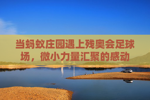 当蚂蚁庄园遇上残奥会足球场,微小力量汇聚的感动