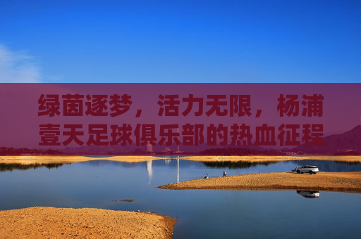 绿茵逐梦,活力无限,杨浦壹天足球俱乐部的热血征程