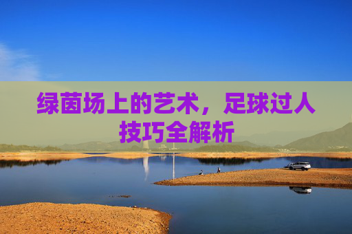 绿茵场上的艺术,足球过人技巧全解析