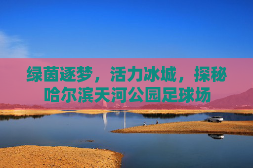 绿茵逐梦，活力冰城，探秘哈尔滨天河公园足球场