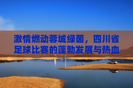 激情燃动蓉城绿茵,四川省足球比赛的蓬勃发展与热血瞬间