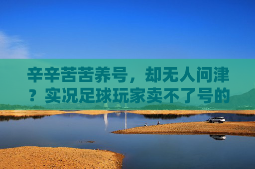 辛辛苦苦养号,却无人问津?实况足球玩家卖不了号的深层困局