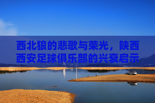 西北狼的悲歌与荣光,陕西西安足球俱乐部的兴衰启示录