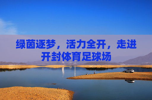 绿茵逐梦，活力全开，走进开封体育足球场