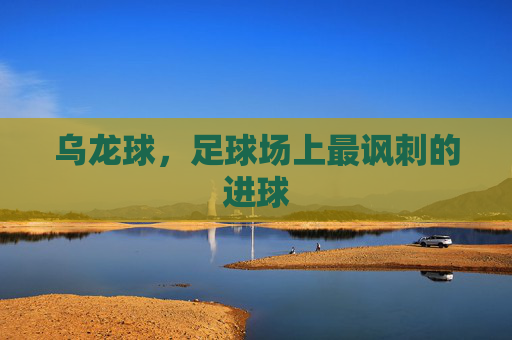 乌龙球,足球场上最讽刺的进球