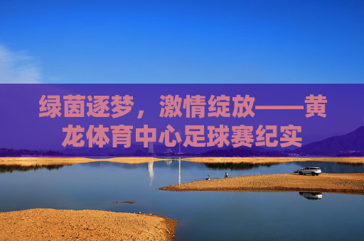 绿茵逐梦，激情绽放——黄龙体育中心足球赛纪实