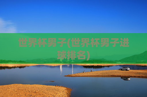 世界杯男子(世界杯男子进球排名)