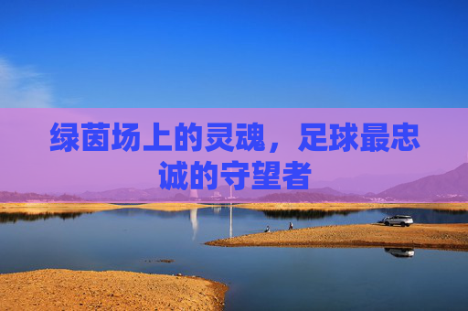 绿茵场上的灵魂，足球最忠诚的守望者