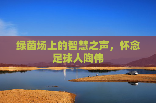 绿茵场上的智慧之声,怀念足球人陶伟