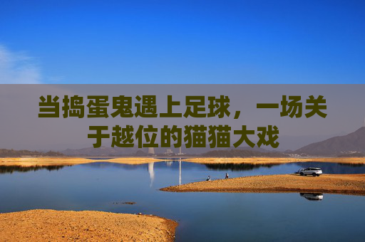 当捣蛋鬼遇上足球,一场关于越位的猫猫大戏