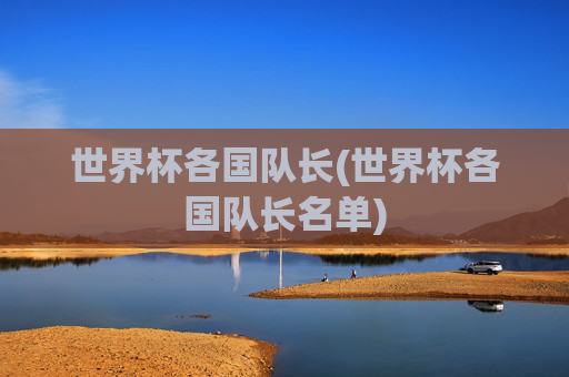 世界杯各国队长(世界杯各国队长名单)