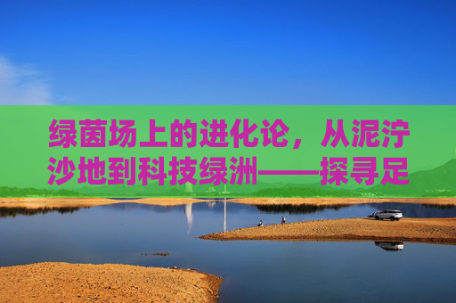 绿茵场上的进化论，从泥泞沙地到科技绿洲——探寻足球草皮的历史记录