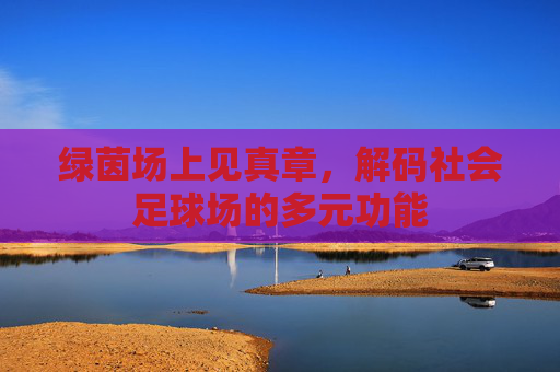 绿茵场上见真章,解码社会足球场的多元功能
