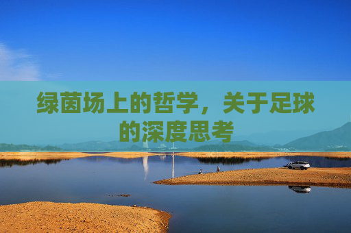 绿茵场上的哲学，关于足球的深度思考