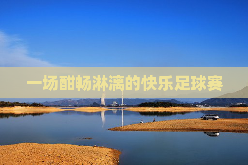 一场酣畅淋漓的快乐足球赛