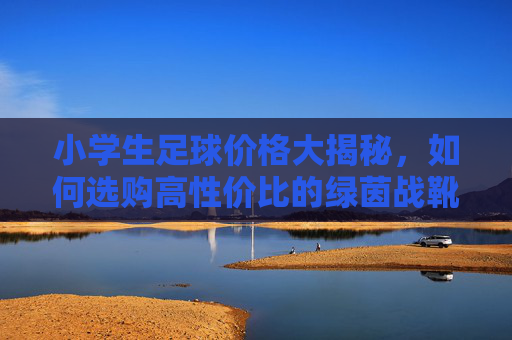 小学生足球价格大揭秘,如何选购高性价比的绿茵战靴?