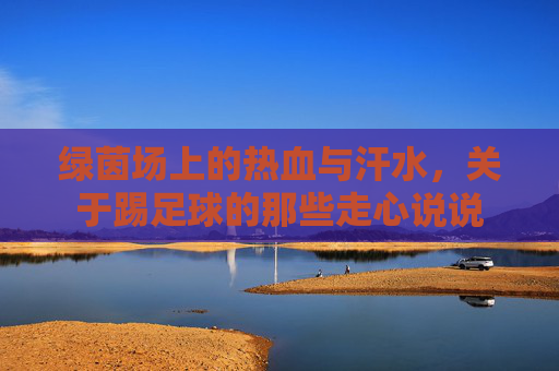 绿茵场上的热血与汗水,关于踢足球的那些走心说说