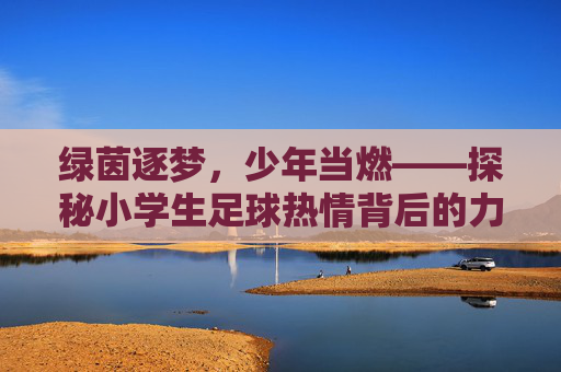绿茵逐梦,少年当燃——探秘小学生足球热情背后的力量