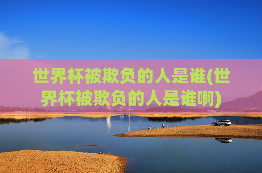 世界杯被欺负的人是谁(世界杯被欺负的人是谁啊)