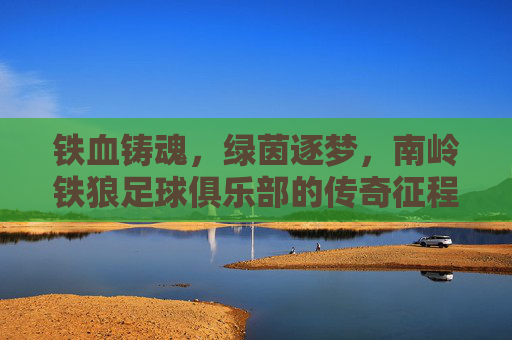 铁血铸魂，绿茵逐梦，南岭铁狼足球俱乐部的传奇征程