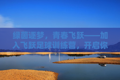 绿茵逐梦，青春飞跃——加入飞跃足球训练营，开启你的足球人生