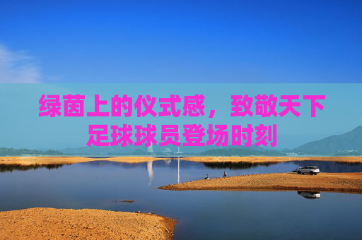 绿茵上的仪式感,致敬天下足球球员登场时刻