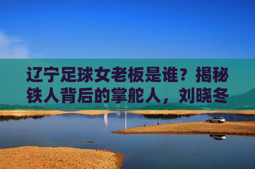 辽宁足球女老板是谁?揭秘铁人背后的掌舵人,刘晓冬与她的足球梦