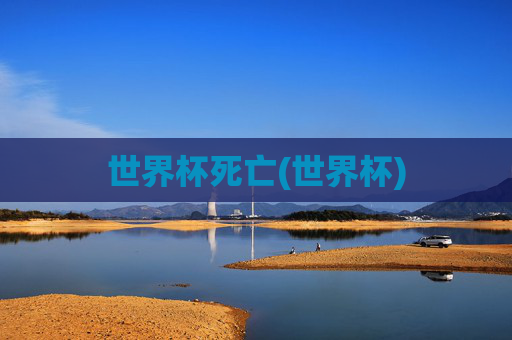 世界杯死亡(世界杯)