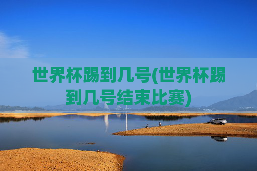 世界杯踢到几号(世界杯踢到几号结束比赛)