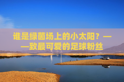 谁是绿茵场上的小太阳?——致最可爱的足球粉丝