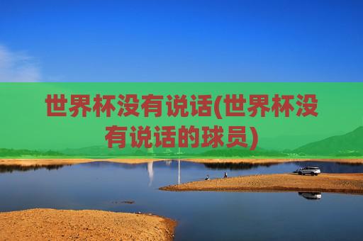世界杯没有说话(世界杯没有说话的球员)