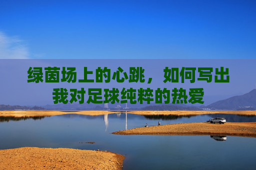 绿茵场上的心跳,如何写出我对足球纯粹的热爱
