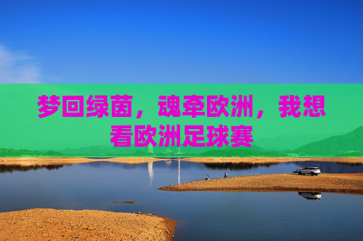 梦回绿茵,魂牵欧洲,我想看欧洲足球赛