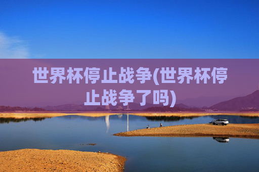 世界杯停止战争(世界杯停止战争了吗)