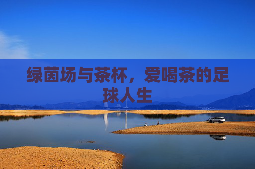 绿茵场与茶杯,爱喝茶的足球人生