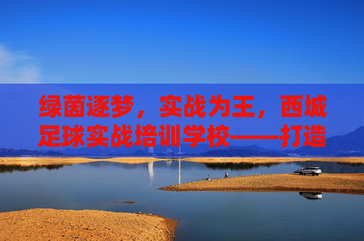 绿茵逐梦,实战为王,西城足球实战培训学校——打造未来足球之星的摇篮