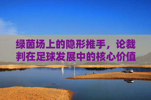 绿茵场上的隐形推手,论裁判在足球发展中的核心价值