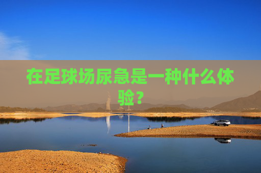 在足球场尿急是一种什么体验?