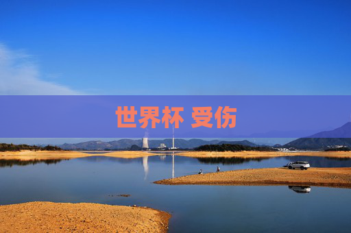 世界杯 受伤