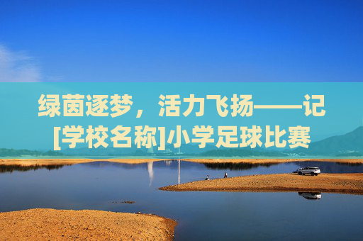 绿茵逐梦，活力飞扬——记[学校名称]小学足球比赛