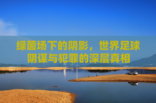 绿茵场下的阴影，世界足球阴谋与犯罪的深层真相