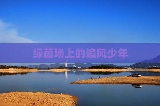 绿茵场上的追风少年