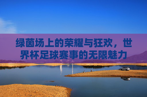 绿茵场上的荣耀与狂欢,世界杯足球赛事的无限魅力