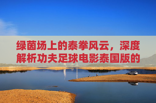 绿茵场上的泰拳风云,深度解析功夫足球电影泰国版的独特魅力